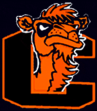 Campbell Fighting Camels 1996-2004 Alternate Logo iron on transfers for fabric